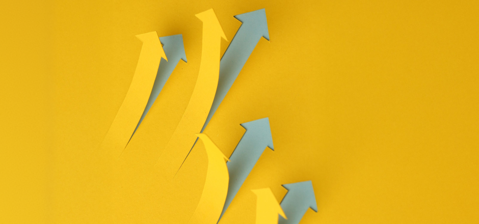 Price Optimization: Techniques to Maximize Revenue and Margins